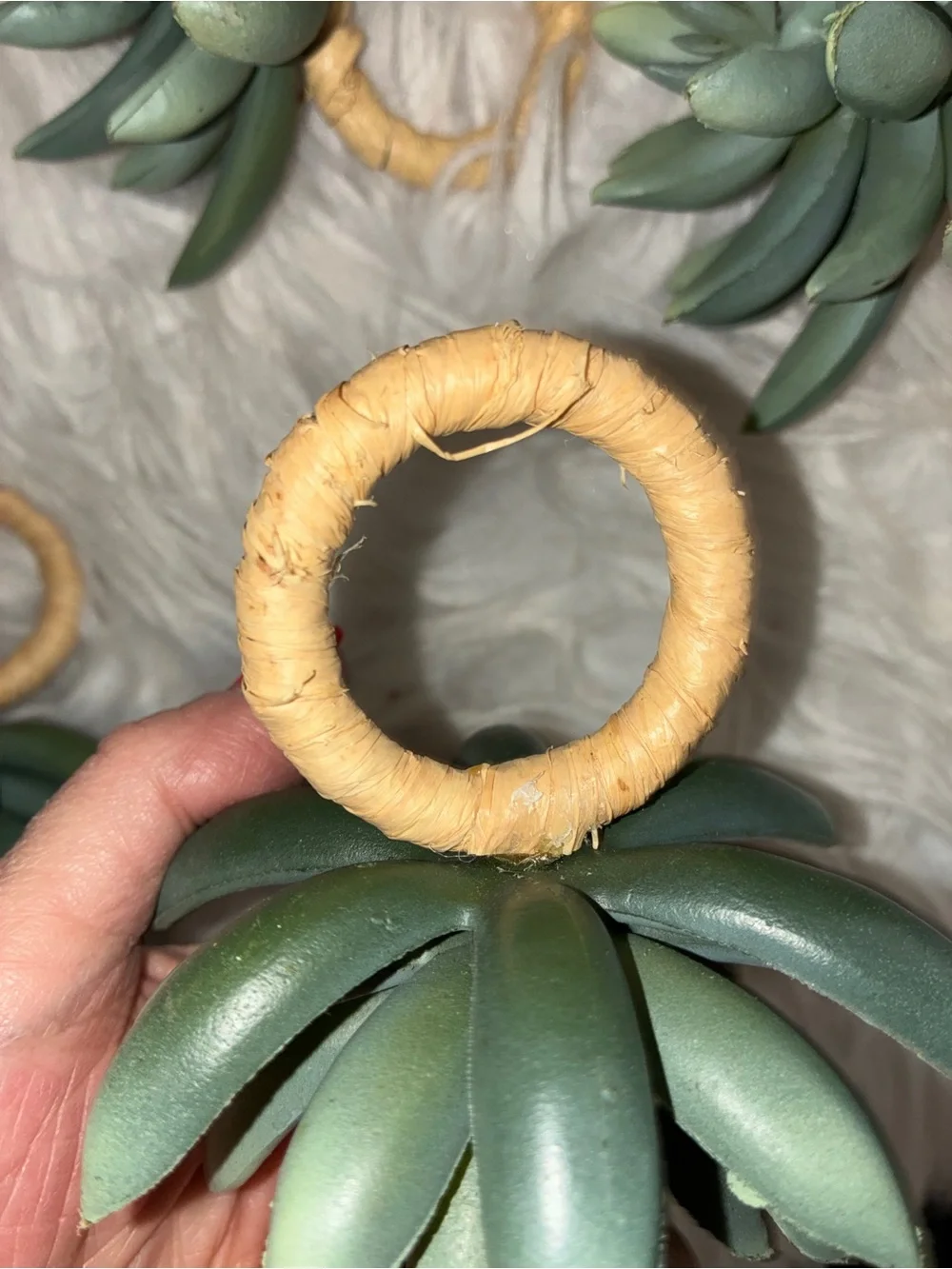 Pottery Barn Succulent green napkin rings set 8